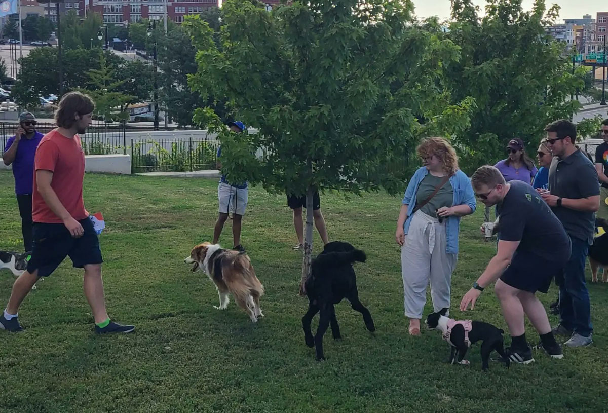 Downtown and River Market are going to the Dogs!