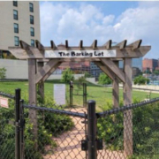 Downtown and River Market are going to the Dogs!