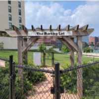 Downtown and River Market are going to the Dogs!