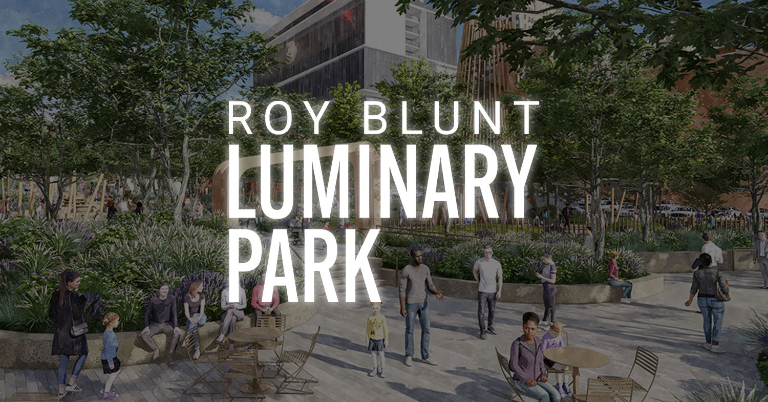 Official name of the South Loop Project unveiled at the Downtown Council